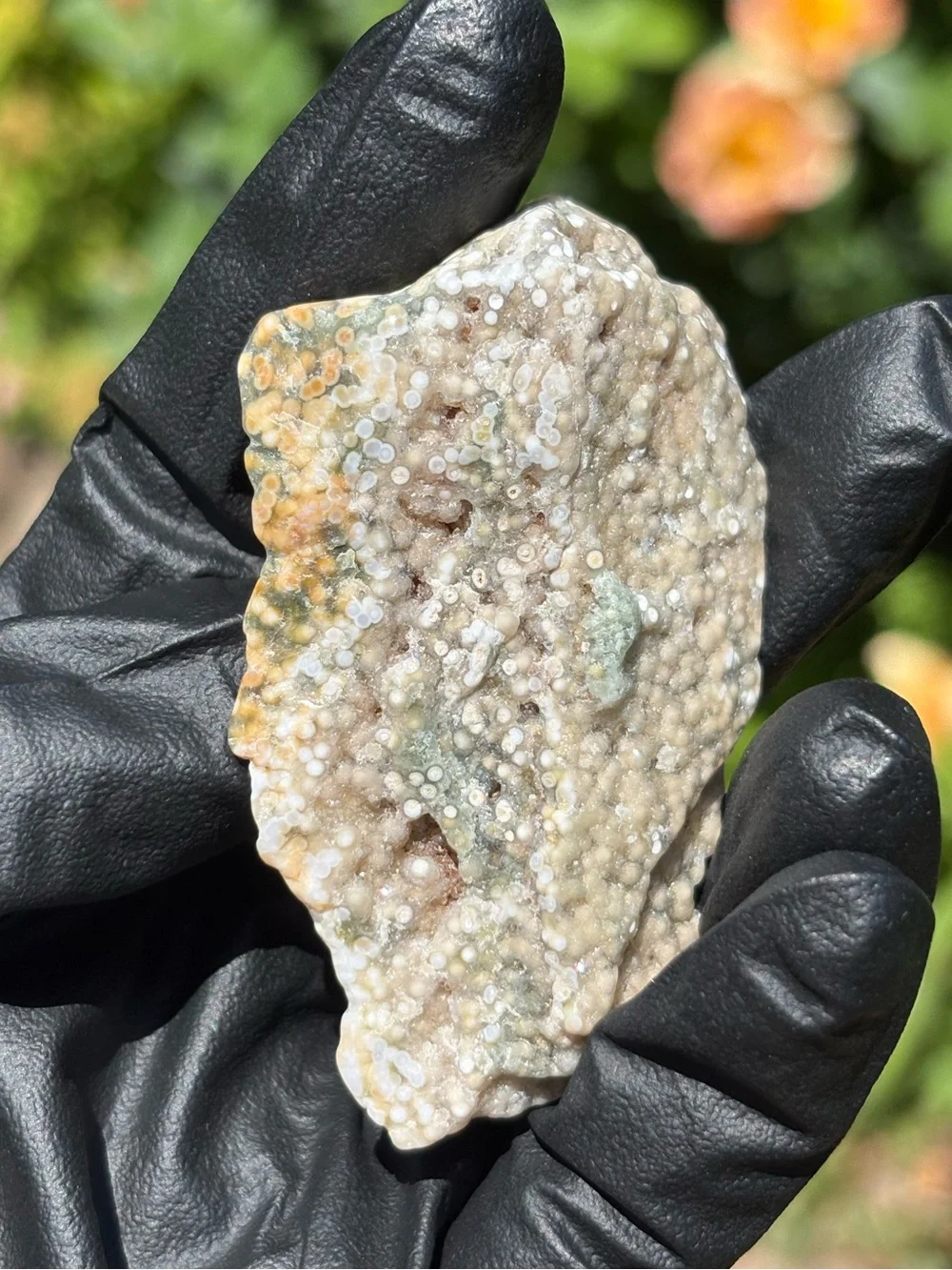 Ocean Jasper Druzy Crystal Slab - Orbicular Jasper - Polished Sea Jasper